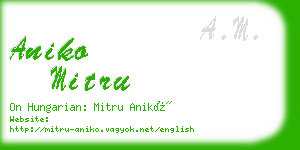 aniko mitru business card